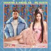Portada de Me Gusta de Shakira & Anuel AA