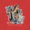 Portada de Flamenkito de Lérica & Belinda