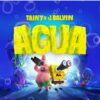 Agua Tainy J Balvin